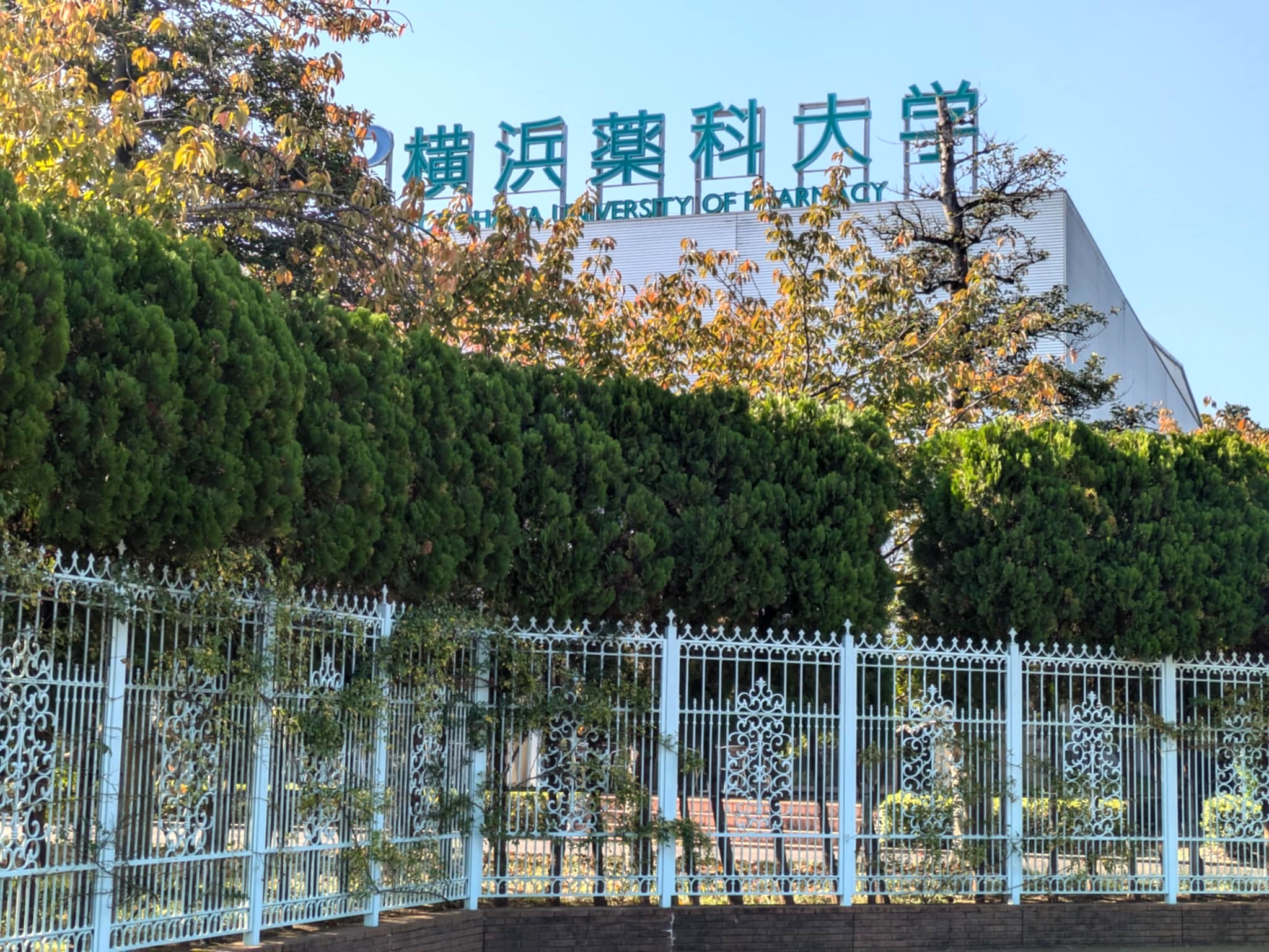 横浜薬科大学看板①