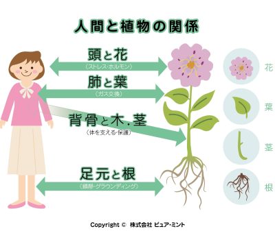 オリジナル：人間と植物の関係①